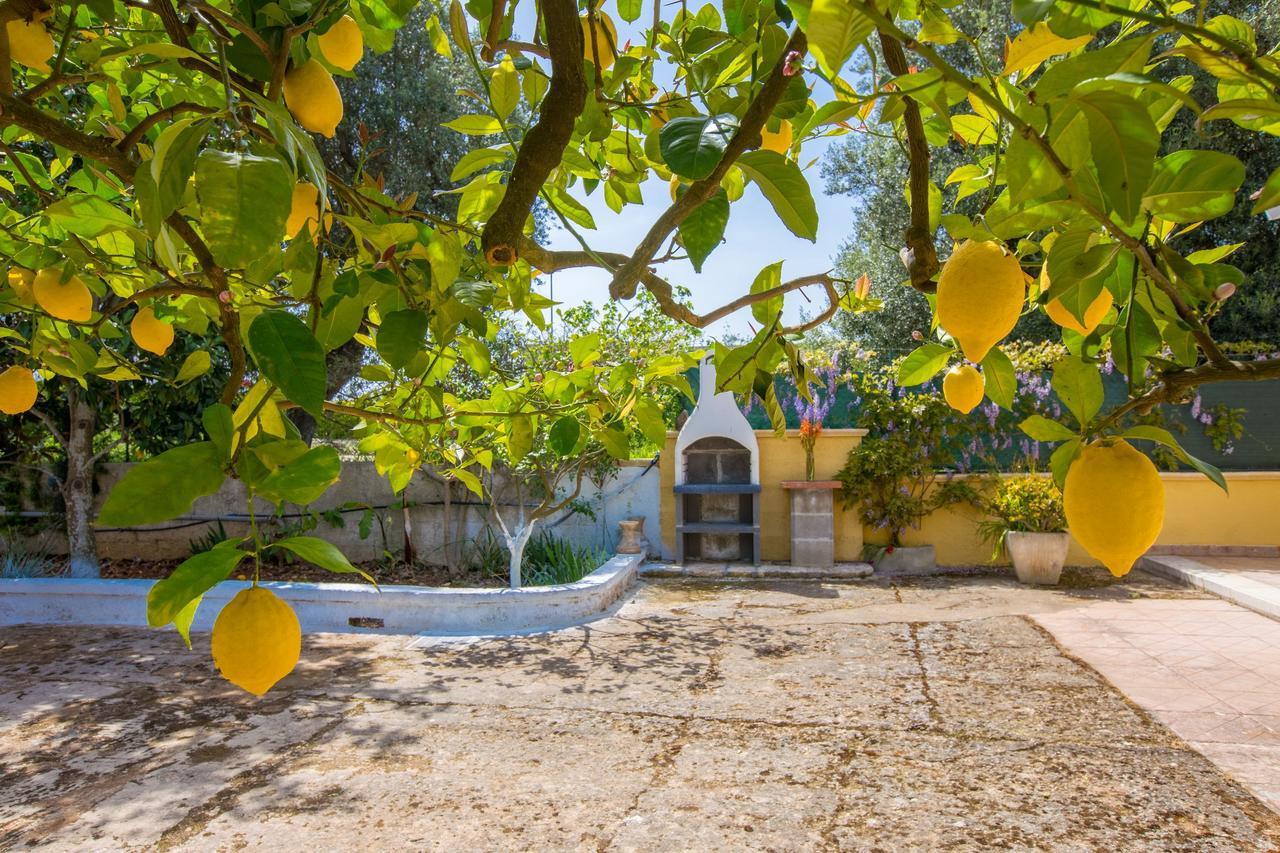 Casa Mediterranea Dei Normanni San Vito dei Normanni Exteriér fotografie
